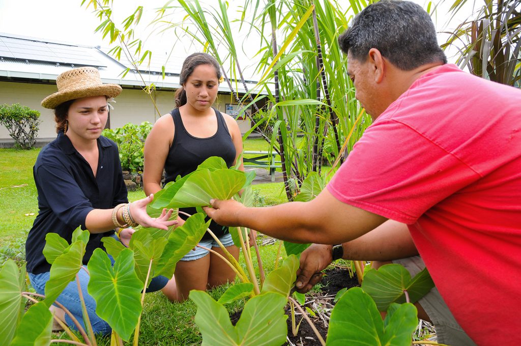 Major Rotations The Hawaii Psychology Internship Consortium